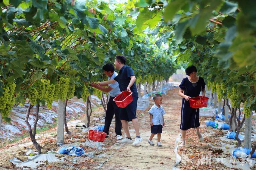 连环夺宝下载